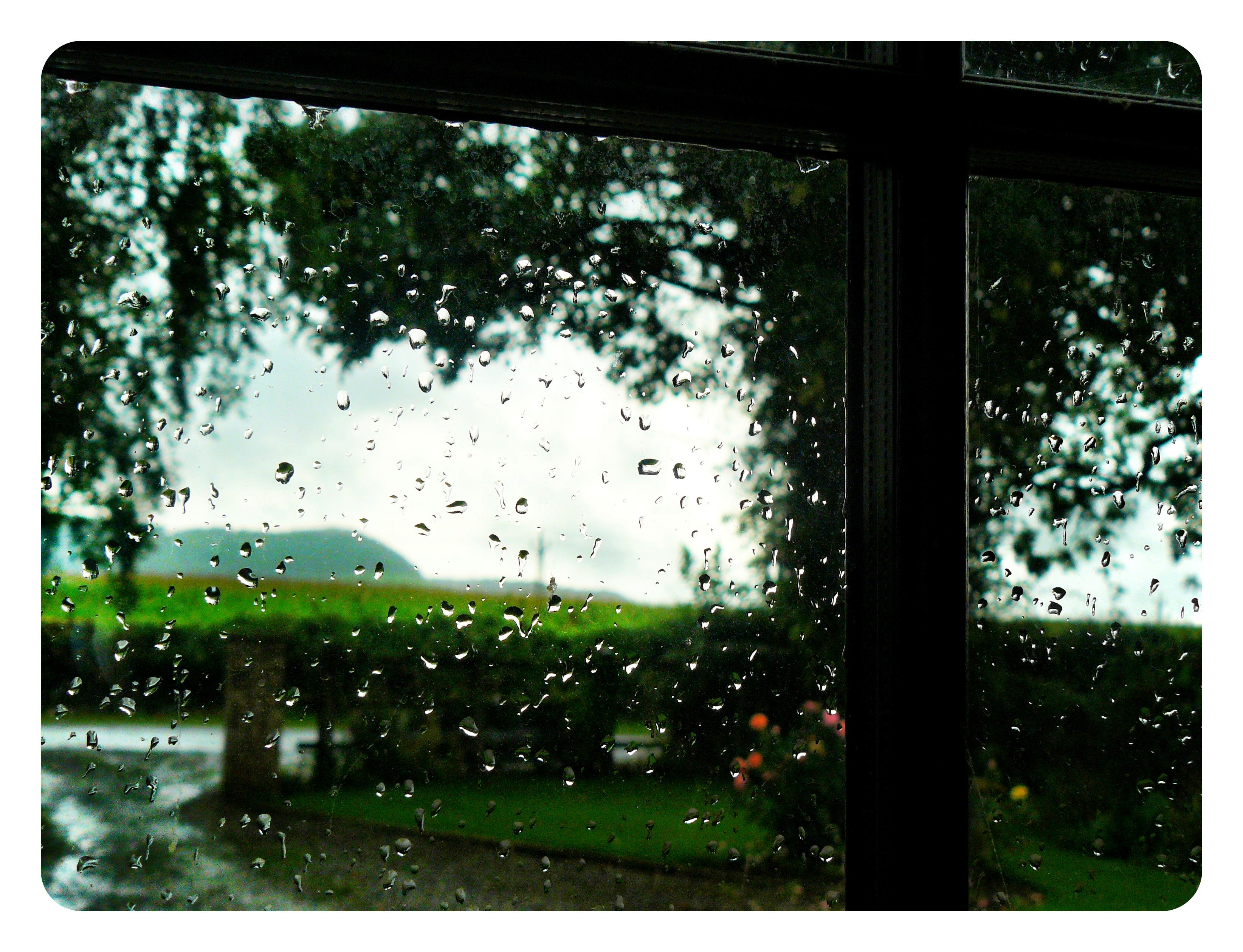 Видеть за окном дождь. Дождь в окне. Дождь за окном. Вид из окна дождь. Дождливое окно.